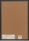 Campylodiscus bicinctus Castr. (de-Toni-Nr.: Genus 57, Species 2464) Zeichnungen Sammlung Grunow Mappe 02640 (Herbarium_W_Grunow_drawings_Folder_02640)